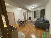 Se izdava namesten stan vo Skopje, Michurin so povrshina od 41 m2.
 Ekstra: Klima, Centralno Parno, Lift, Nova Zgrada, Parking.
 Cena: 450 EUR