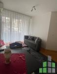 Se izdava namesten stan vo Skopje, Kisela Voda so povrshina od 45 m2.
 Ekstra:.
 Cena: 270 EUR